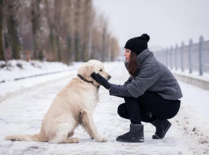 Frosty Morning Walks